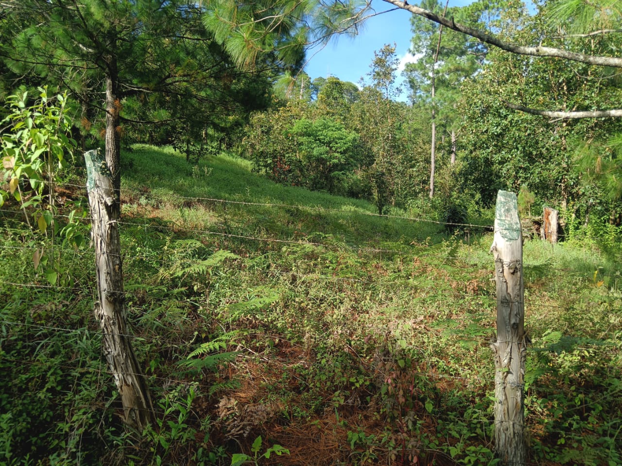 TEGUCIGALPA, FRANCISCO MORAZAN